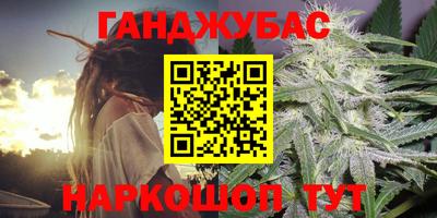 сатива Краснознаменск