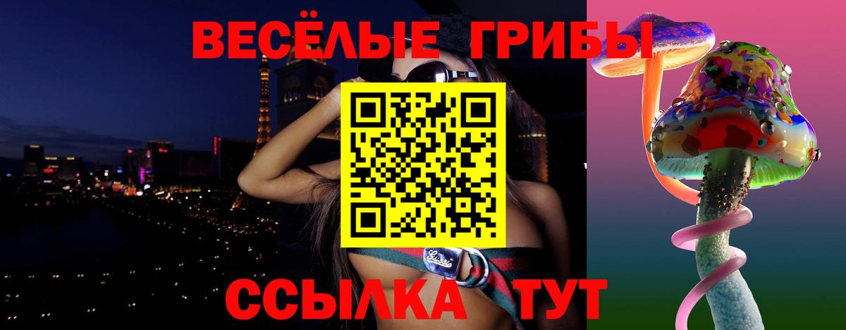 Галлюциногенные грибы прущие грибы  Вход с VPN  Железноводск 